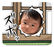 808179762