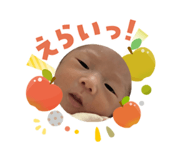 808181519