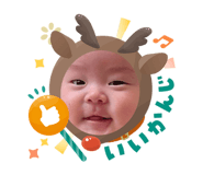 808181866