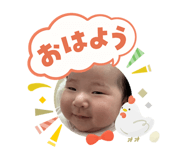 808186224