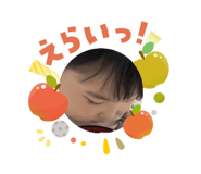 808186579