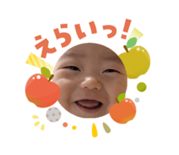 808186668