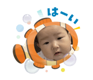 808191168