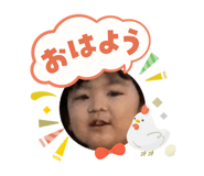 808196695