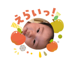 808198228