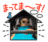 808198676