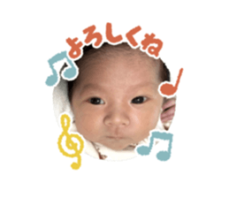 808198709