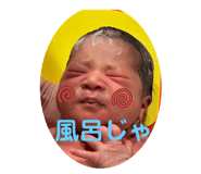 808201620