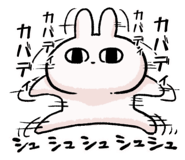 808204810