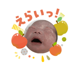 808205244