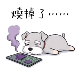 808209706