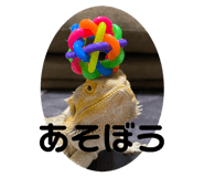 808217835
