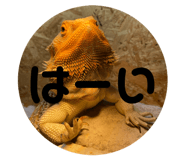 808217836