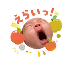 808222848