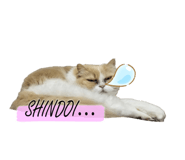 808223082