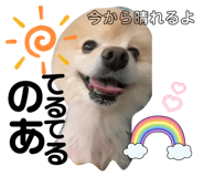 808260968