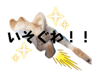 808260974