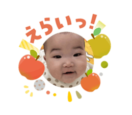 808261748