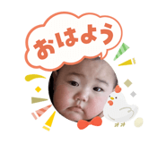 808300512