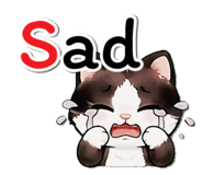 808305916