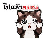 808305941