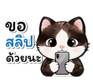 808305947