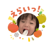 808311490