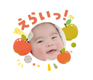 808311562
