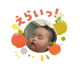 808313619