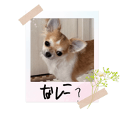 808319527