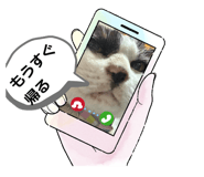 808323569