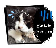 808323574