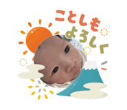 808329146