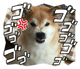 808330535