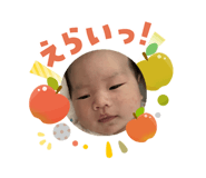 808331641