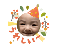808333253