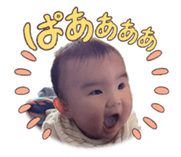 808335033