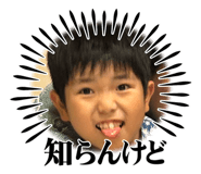 808335252
