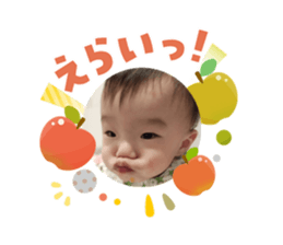 808335446