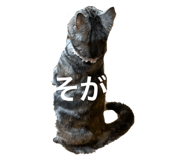 808343958