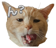 808343959