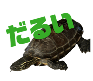 808344751