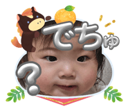 808348006
