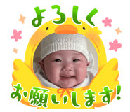 808386208
