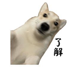 808391428