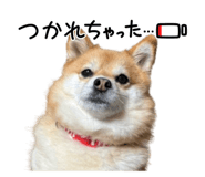808391468