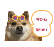 808391470