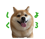 808391471
