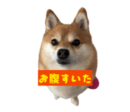 808391472