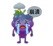 808404558